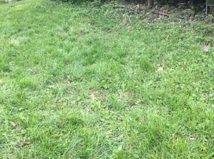 Cleanups by Christopher Horstman for Margaret G. in Cincinnati, OH