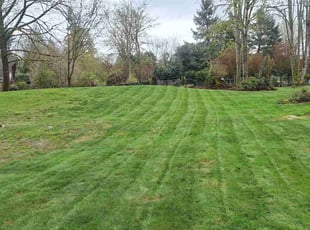 Lydia B.'s Lawn Service service result