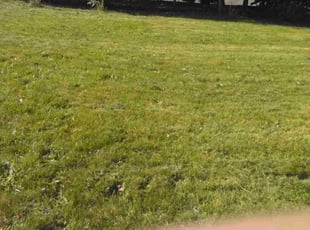 Harley C.'s Lawn Mowing Service service result
