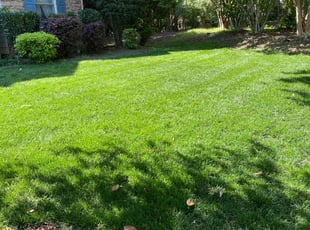 Jennifer S.'s Lawn Service service result