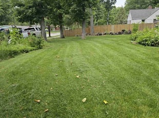 Lindsay P.'s Grass Cutting service result