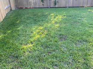 Sharon E.'s Lawn Care service result