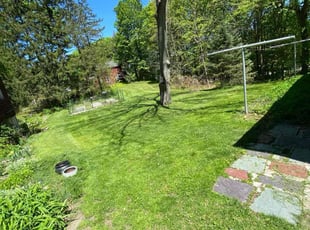 Jim S.'s Lawn Maintenance service result