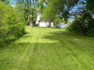 Donna W.'s Lawn Care service result