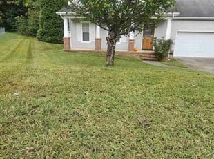 Wyndy M.'s Lawn Mowing service result
