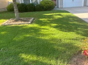 John H.'s Lawn Mowing Service service result