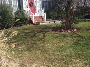 Leaf Removal by Dave Henley for Patricia S. in Glen Allen, VA