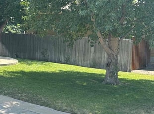 Matthew S.'s Lawn Care service result