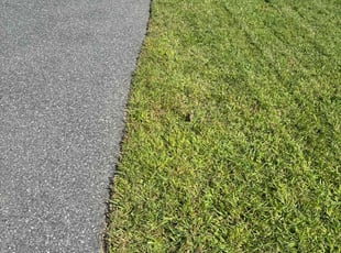 Rebecca F.'s Lawn Mowing service result