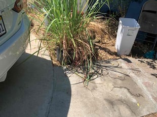 Cleanups by Elijah Johnson-Padilla for Martha T. in Bakersfield, CA