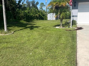 Woody H.'s Grass Cutting service result