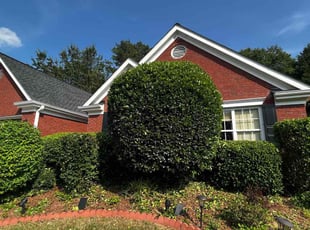 Bush Trimming by Henry To for Joy R. in Grayson, GA