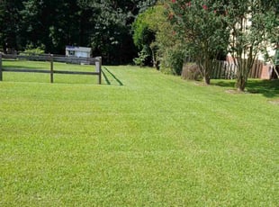 Mariah G.'s Grass Cutting service result