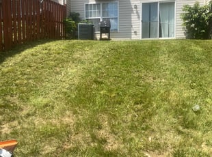 Weeding by Manny Chavez for Thado G. in Woodbridge, VA