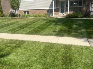 Crystal P.'s Lawn Mowing Service service result