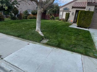 Bruce W.'s Lawn Mowing Service service result