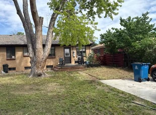 Cleanups by Diego Arango for Debra M. in Aurora, CO
