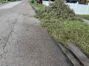Cleanups by Tony Sampson for Jodi T. in Tampa, FL