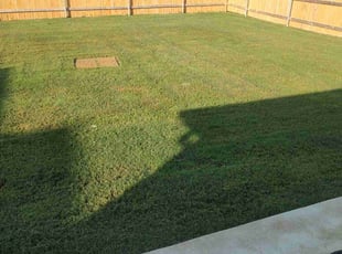 Helen R.'s Lawn Mowing service result