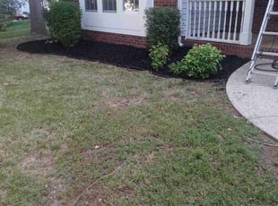 Mulching by Damion Forney for Tara K. in Charlotte, NC