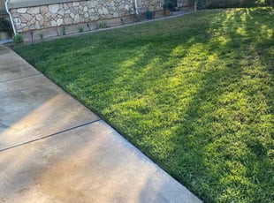 Herman N.'s Lawn Mowing service result