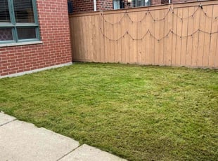 Dartanya D.'s Lawn Mowing Service service result