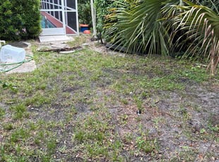 Bush Trimming by Matthew Ramos for Christine H. in Tequesta, FL