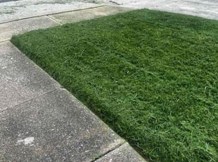 Rebecca B.'s Lawn Mowing service result