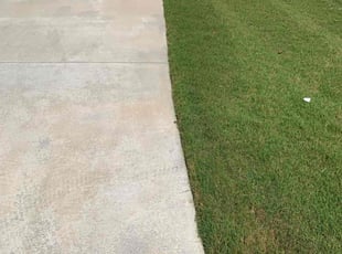 Sonya M.'s Lawn Mowing Service service result