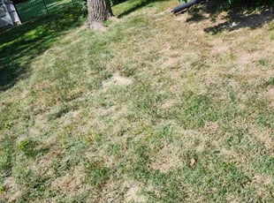 Leaf Removal by Ramiro Vicente for Joyce M. in Saint Charles, MO