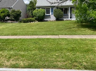 Brandon B.'s Grass Cutting service result