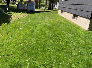 Christina E.'s Lawn Maintenance service result