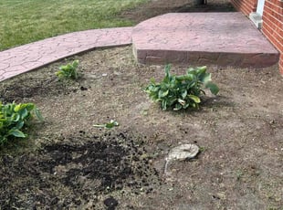 Weeding by Lakeworth Landscape for Terrell C. in Sterling Heights, MI