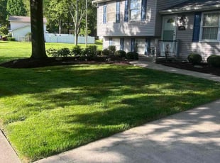 Jeff D.'s Grass Cutting service result
