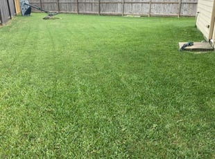 Paige C.'s Lawn Mowing service result