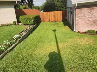 Kate C.'s Lawn Maintenance service result