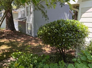 Bush Trimming by Admin . for Cheryl W. in Lithonia, GA