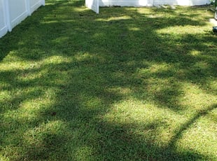 Teresa M.'s Lawn Care service result