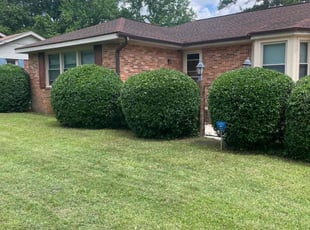Bush Trimming by Cory McLean for Aisha H. in Smithfield, NC