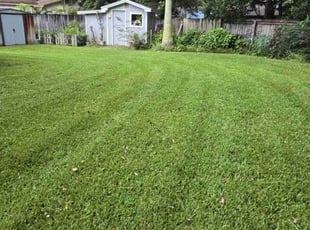 Cher N.'s Lawn Maintenance service result
