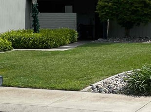 Sotha Y.'s Lawn Mowing Service service result