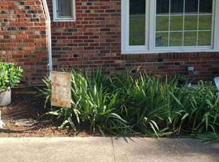 Weeding by Jennifer Runyon for Linda C. in Stafford, VA