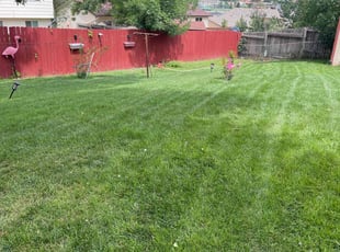 Kimberly C.'s Lawn Service service result