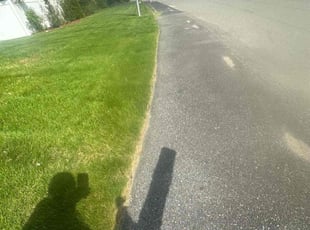 Camile I.'s Yard Cutting service result