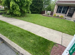 Marnie R.'s Lawn Care service result
