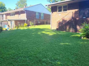 Ricky W.'s Lawn Mowing service result