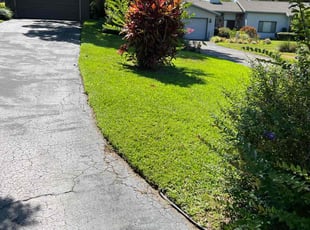 Lin T.'s Lawn Mowing service result