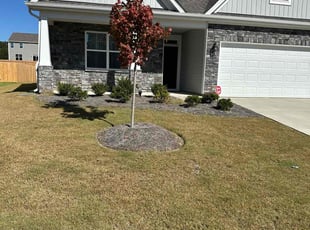 Shaun H.'s Grass Cutting service result