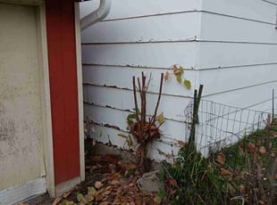 Bush Trimming by James Rogers for Jennie W. in Minneapolis, MN