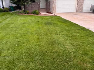 Lon A.'s Grass Cutting service result